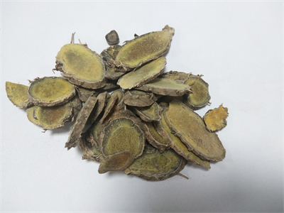 普菲德專(zhuān)題產(chǎn)品推薦-蓬莪術(shù)系列(圖1)